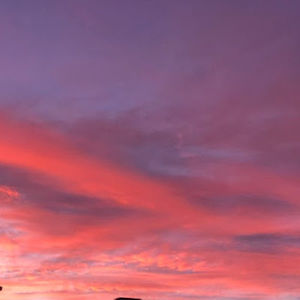 Meet your Posher, Abbi